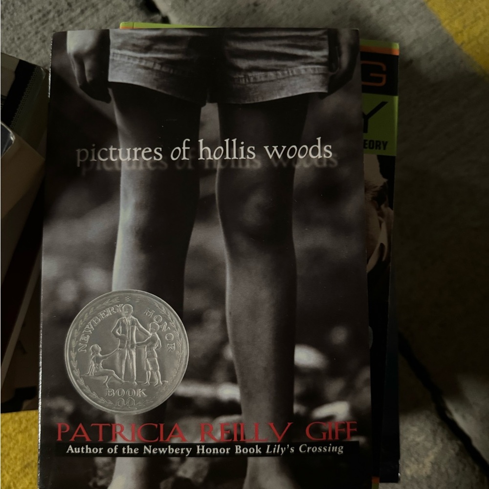 Pictures of Hollis Woods Book